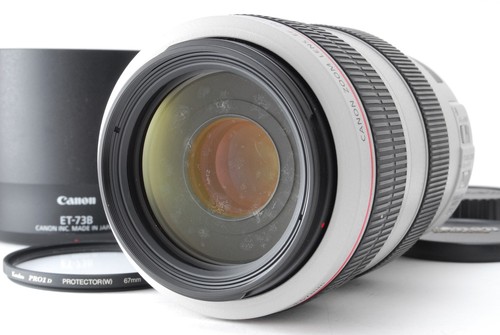 Canon 300mm 5 6 - 70-300mm, l