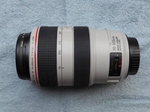 Canon 300mm 5 - canon, is