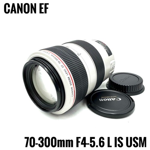 Canon 300mm 6 l - canon, 70-300mm