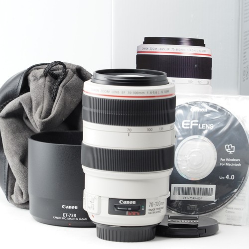 Canon 300mm 5 6 - f/4-5.6, l