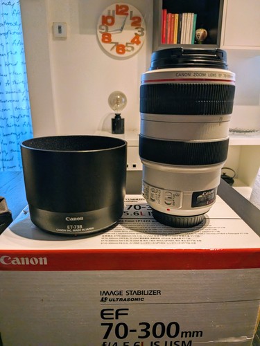 Canon 300mm 5 6l - ef, is