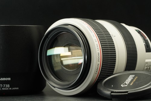 Canon 300 4 5 - 70-300, l