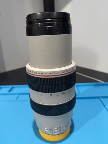 Canon 300 4 - canon, f/4-5.6l