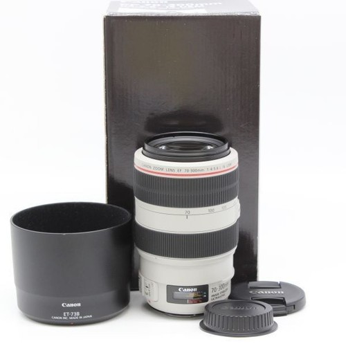 Canon 300mm 5 - f/4-5.6, l