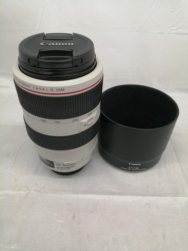 Canon 300 5 6 l - mm, 1:4-5