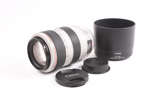 Canon 300 4 5 - ef, f/4-5.6