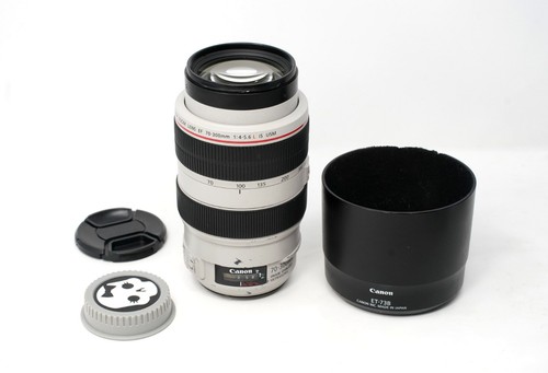 Canon 300mm 5 - 70-300mm, l