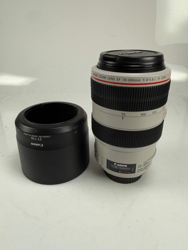 Canon 300 5 6 - ef, is